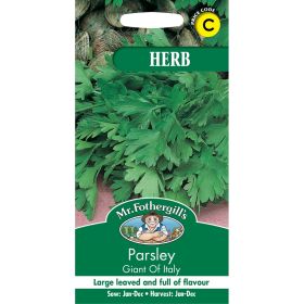 Parsley Giant Of Italy Seeds